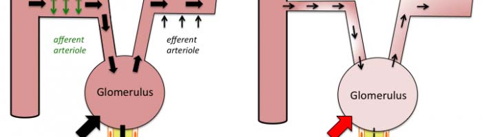 inibição do trabalho de parto Hipersensibilidade cutânea (talvez não imune) Sangramento gastrointestinal Prevalence of SAID Use in Patients Presenting with Upper GI Bleeding Patient History (n = 411)