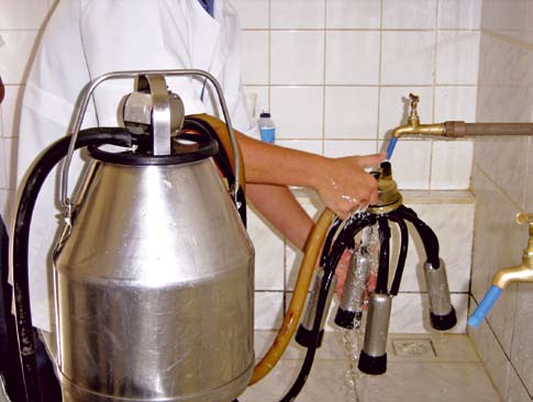 2.1.3 Higienização dos latões e utensílios Lave os latões e suas tampas com água morna a 45ºC.