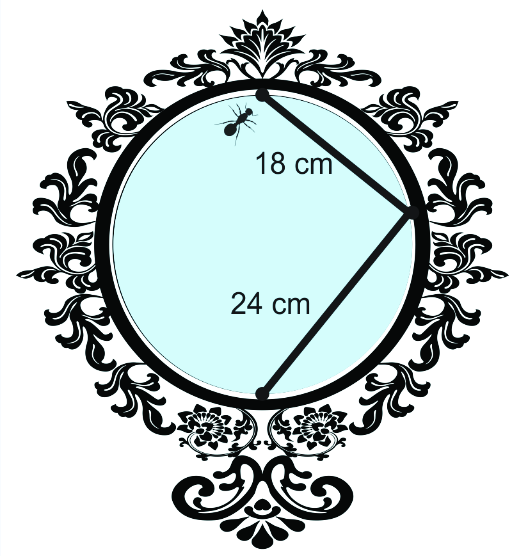 15. A figura ao lado mostra o espelho circular da malvada madrasta de Branca de Neve.