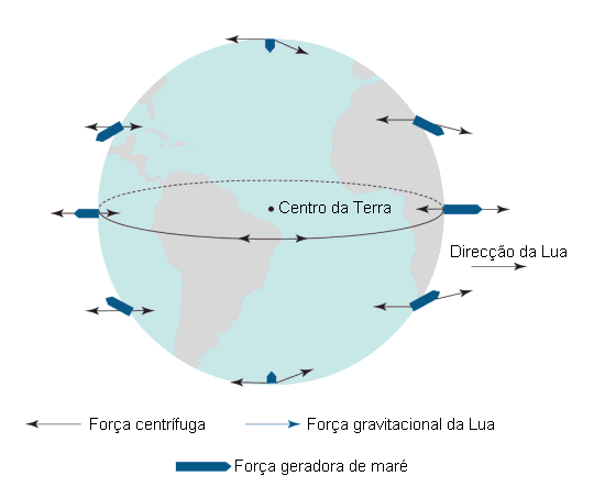 A onda de maré é gerada pelo facto de a força centrífuga e a força gravitacional serem diferentes em cada ponto da superfície da Terra. Estas forças são iguais no centro de massa de cada corpo.