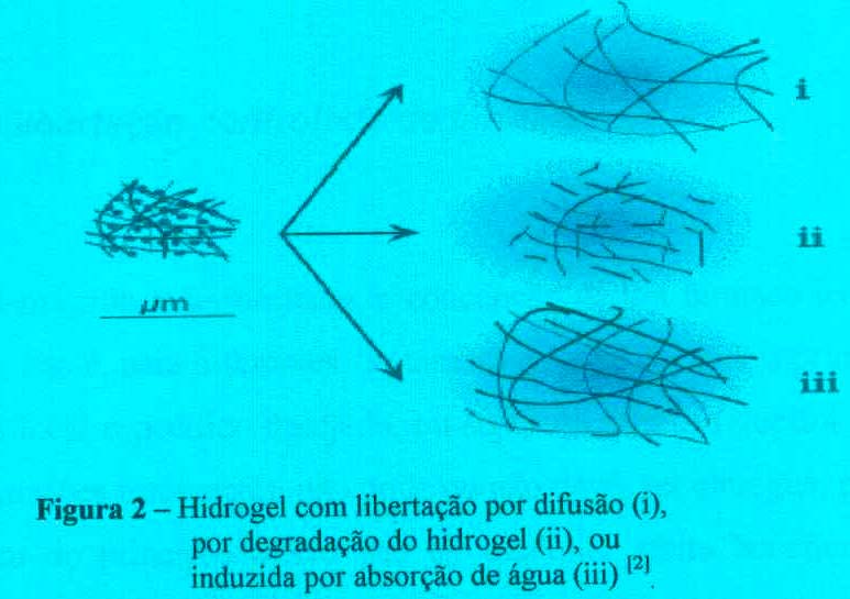 2b) sistema de inchamento e gelificação pílulas Hidrogéis derivados da celulose EXPANSÃO NA PRESENÇA DE LÍQUIDOS controlo por difusão a libertação do medicamento dá-se por