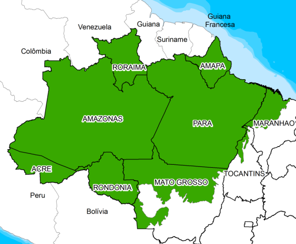 REDD Jurisdicional: Conectando ações subnacionais à meta nacional.