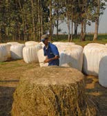 Guia Técnico DPA Ser também um agricultor Além de escolher bem a cultura para alimentar o gado no cocho, é necessário produzir de forma eficiente atendendo às exigências técnicas da cultura.