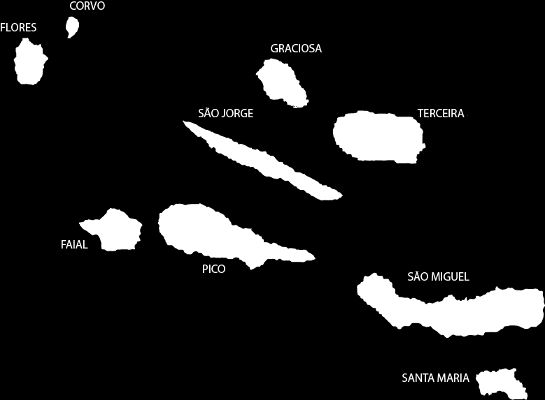 Projecto do Governo Regional dos Açores 1) Serviços GRA essencialmente centrados em 3 ilhas 2) Serviços da Saúde e Agricultura,