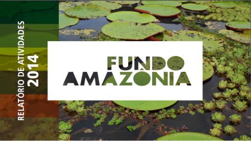 Transparência e Prestação de Contas Site do Fundo Amazônia Relatórios anuais de atividades (português e inglês) Secretaria executiva do COFA