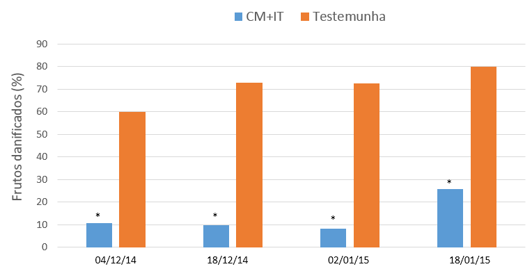 nos frutos, é possível verificar que as duas tecnologias reduzem de maneira significativa o dano quanto comparado a área sem controle. Figura 2. Porcentagem de frutos de maçã danificados por A.