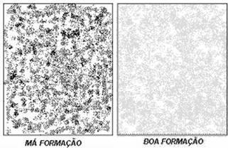 Formação da folha Figura 2.