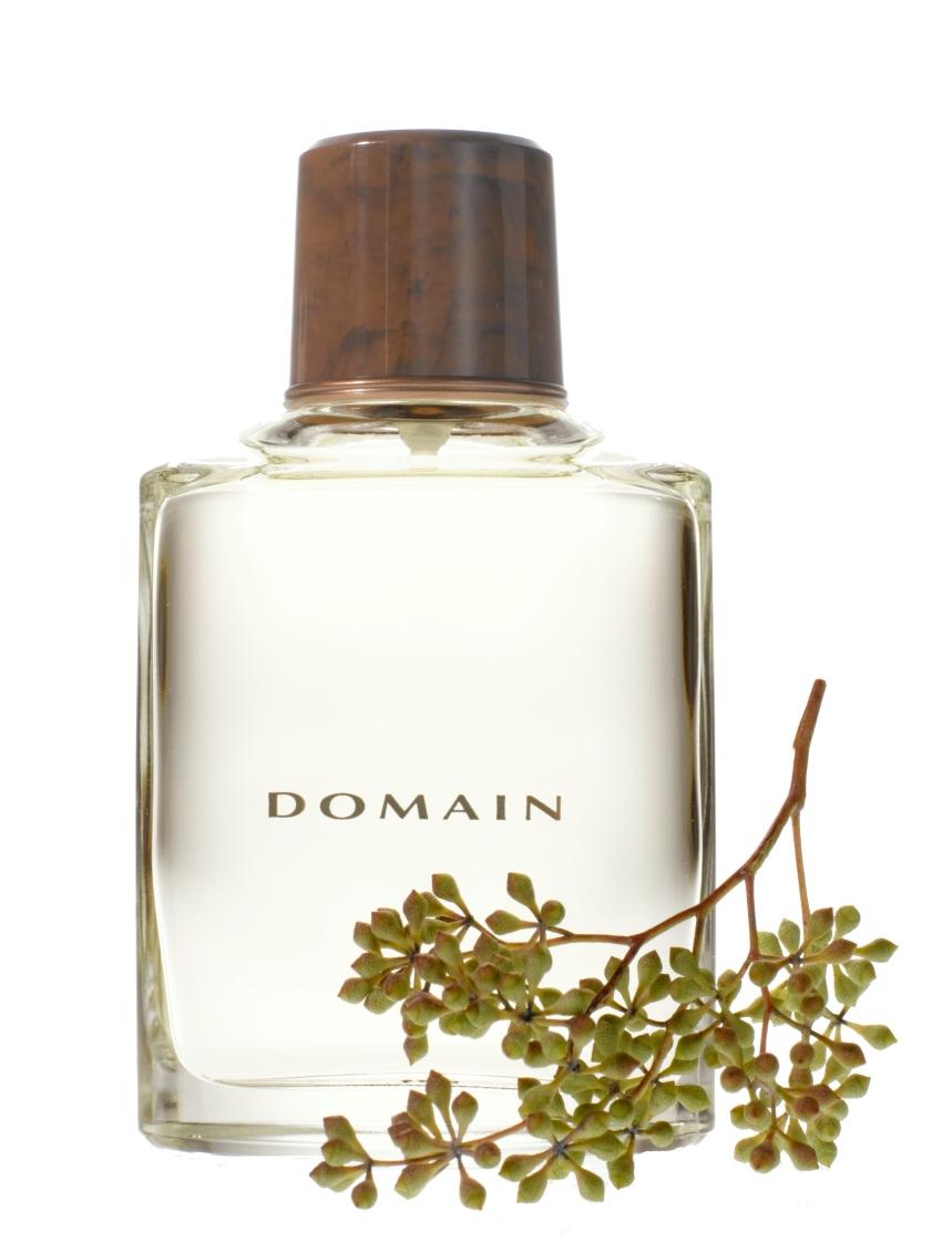 Fragrâncias Mary Kay Domain Cologne Fresh Fougere (fu-gér) Notas de Topo: casa de lima, grapefruit branca, sálvia do deserto, tangerina, uvas vermelhas, lavanda.