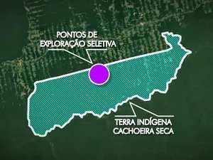A Operação "Onda Verde" do Ibama com apoio da Polícia Militar do Estado (PM) fechou três serrarias no município de Placas, oeste do Pará.