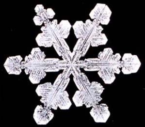 de la symétrie d un cristal de neige jusqu