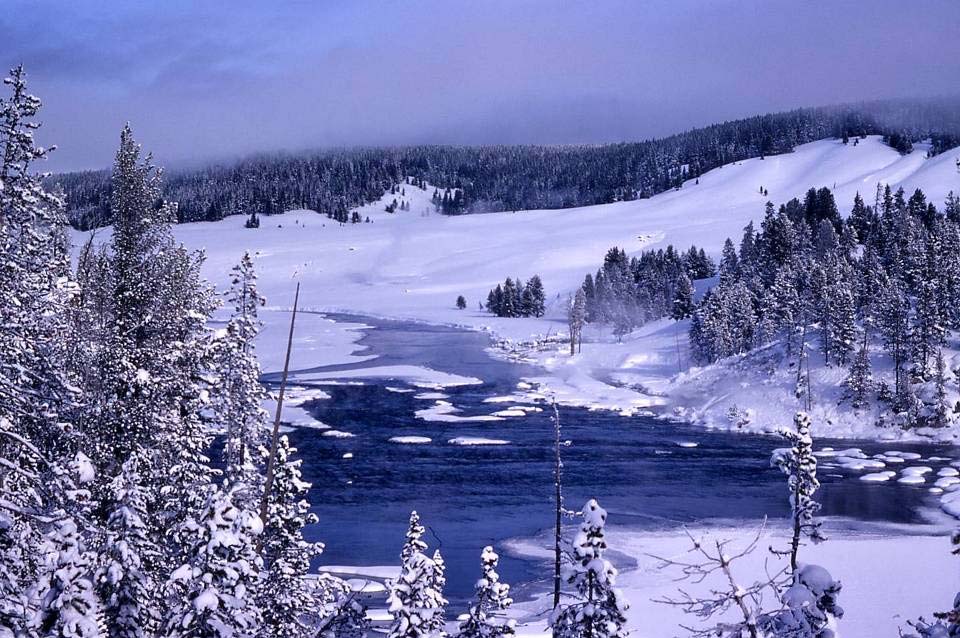 la beauté d un paysage de neige.