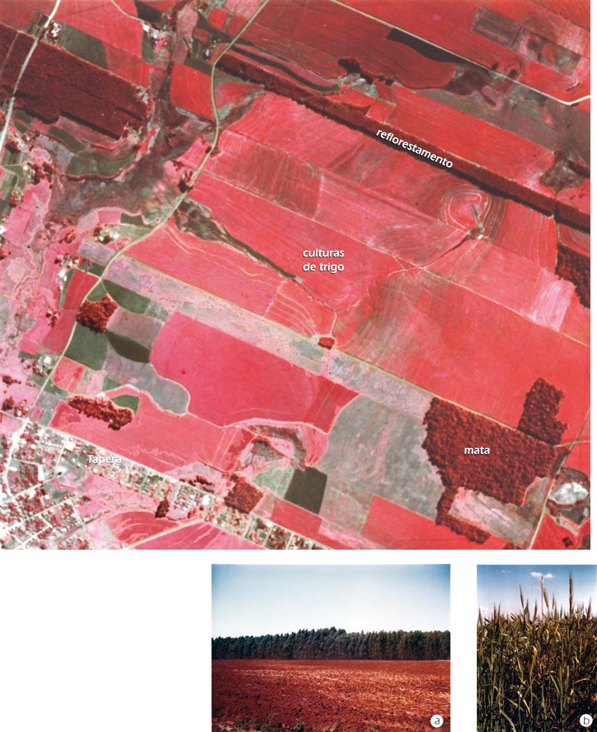 Fotografia aérea infravermelha na escala 1:20.