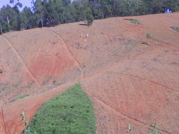 3 A Zona 1 se caracteriza pelo desenvolvimento das atividades típicas da produção rural, com predomínio de pastagens e diversos cultivos, além, evidentemente, da formação florestal que cobre parte de