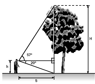 6. Uma pipa é presa a um fio esticado que forma um ângulo de 45º com o solo. O comprimento do fio é 80m. Determine a altura da pipa em relação ao solo.