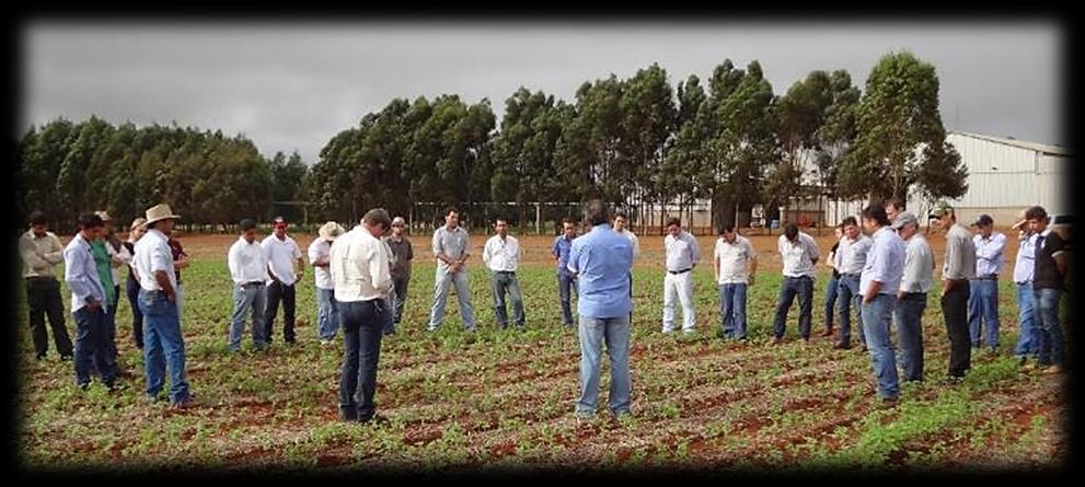 Foto 08. Representantes Deltapine apresentando a cultivar DP 1228 B2RF, no Campo Demonstrativo do Núcleo 02. Foto 09.