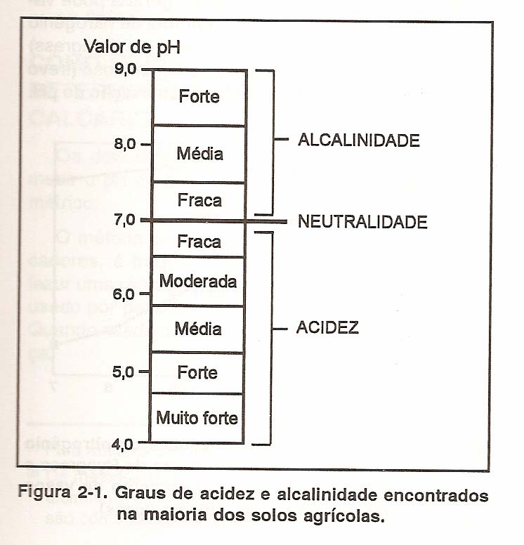 Fonte: POTAFOS (1998).