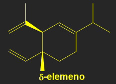 Melanoma