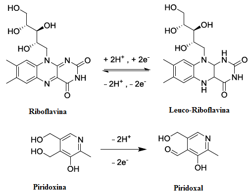 48 O possível mecanismo eletro-oxidativo para a RIB e PIR, de acordo com os resultados de Fonseca et al. (2011) está ilustrado na Figura 15.