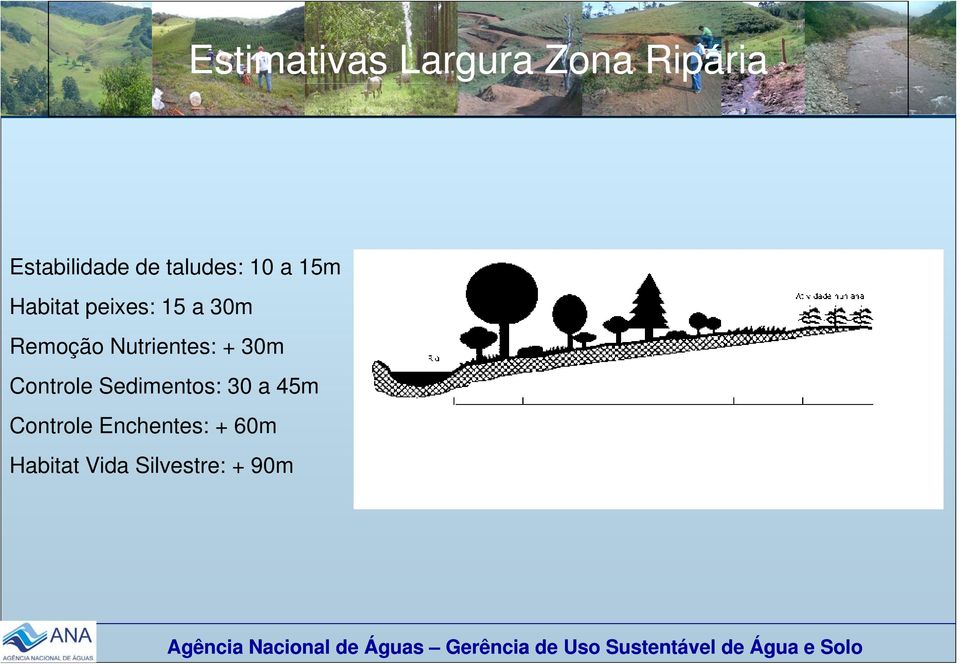 Nutrientes: + 30m Controle Sedimentos: 30 a 45m