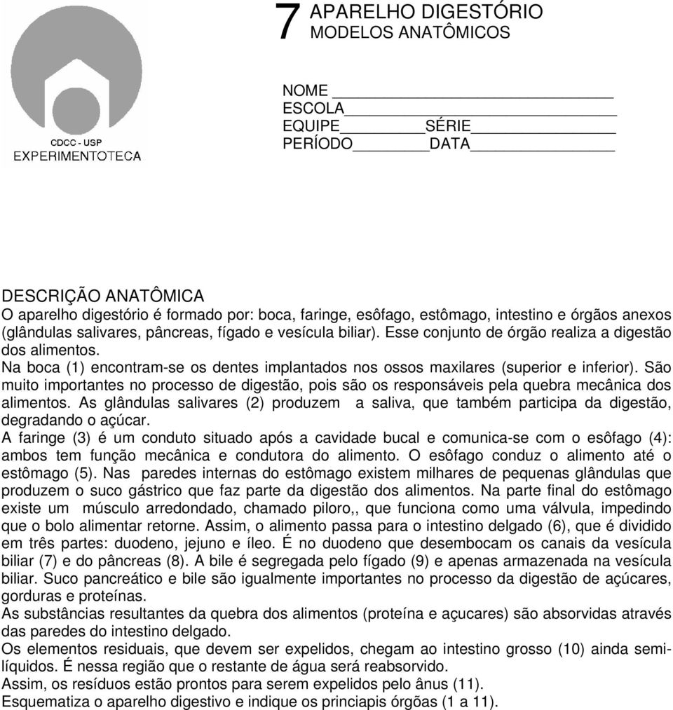 Na boca (1) encontram-se os dentes implantados nos ossos maxilares (superior e inferior). São muito importantes no processo de digestão, pois são os responsáveis pela quebra mecânica dos alimentos.