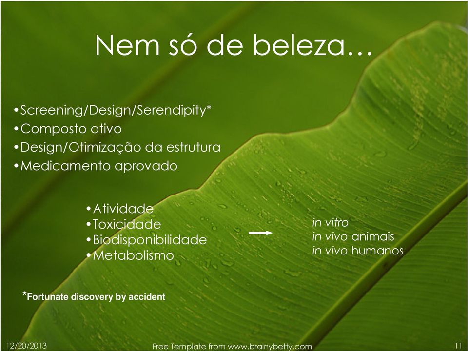 Biodisponibilidade Metabolismo in vitro in vivo animais in vivo humanos