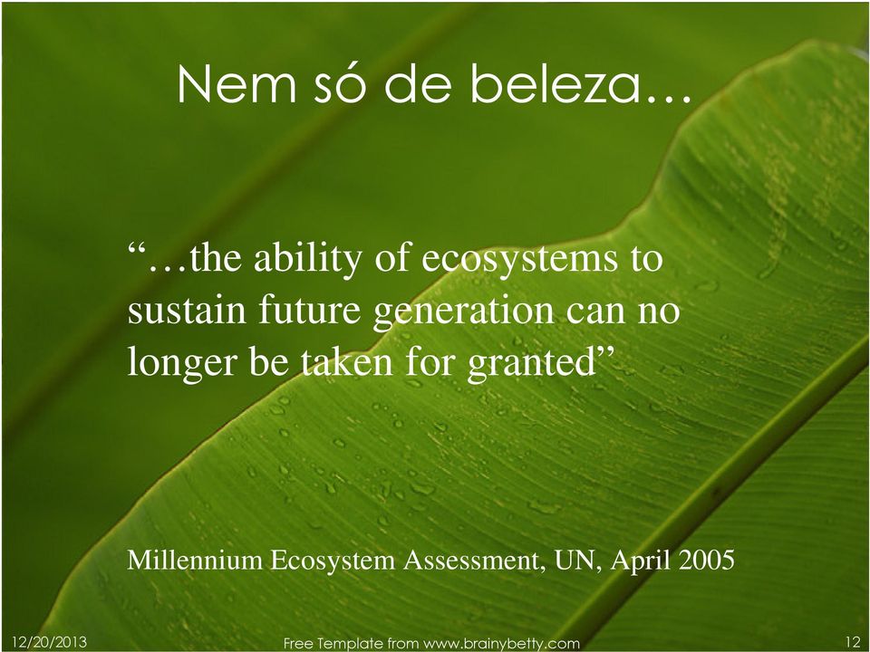 for granted Millennium Ecosystem Assessment, UN,