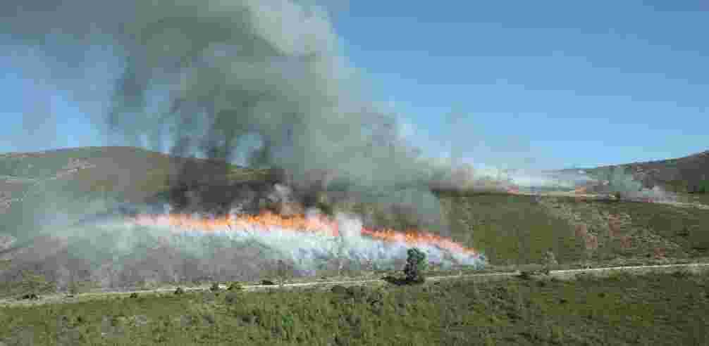 TÍTULO DEPARTAMENTO DE CONSERVAÇÃO DA NATUREZA E FLORESTAS DO CENTRO - DIVISÃO DE GESTÃO EXECUÇÃO DE FOGO CONTROLADO EM ÁREAS SOB GESTÃO PÚBLICA, 2014, 2015 E 1º SEMESTRE-2016, DISTRITOS