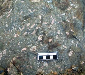 geologia formação de subgrãos e recristalização do quartzo e pela formação de porfiroclastos de K-feldspato com intensa fragmentação de bordos e formação de subgrãos.