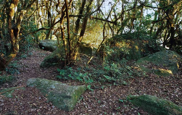 A categoria Casas isoladas corresponde ao que Hickel et al.