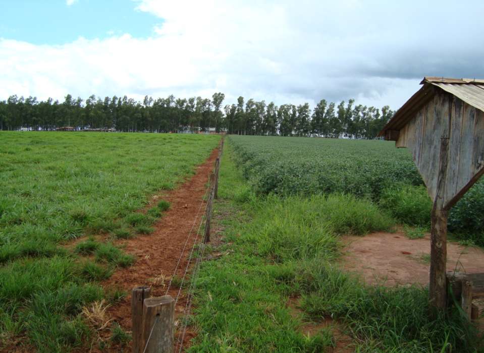 Região do Arenito Fazenda Flor Roxa