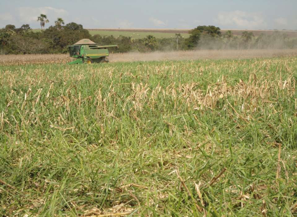 Fazenda Santa