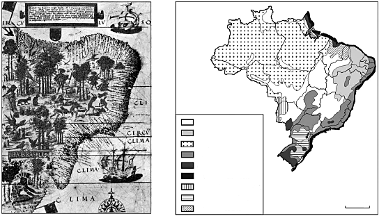 REVISA CAESP HUMANAS - HISTÓRIA NOME: N ª. NOME: N ª. TURMA: 1º