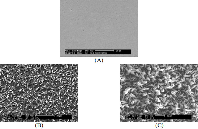 4 Figura 1. Micrografias do aço (A) sem revestimento (B) com PZn+NaNO 2 (ph = 2,64, T= 25 o C, t = 5 min) (C) com PZn+BTAH (ph = 2,00, T = 50 o C, t = 10 min).