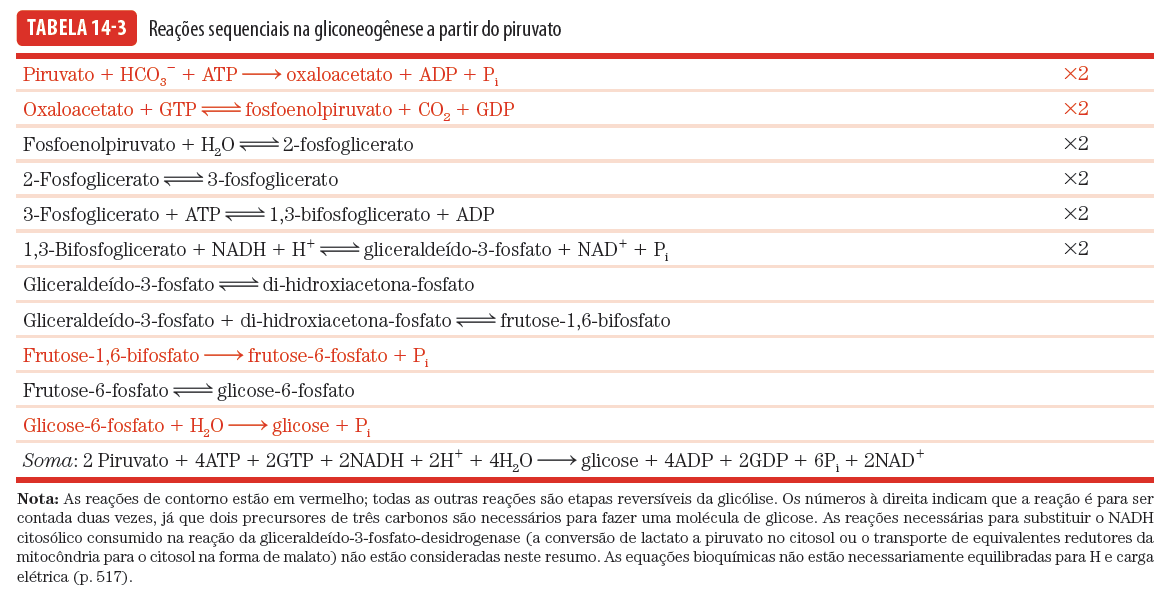 Gliconeogênese O balanço Reacional da