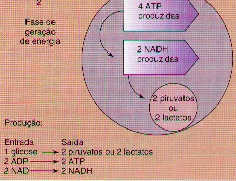 produtos