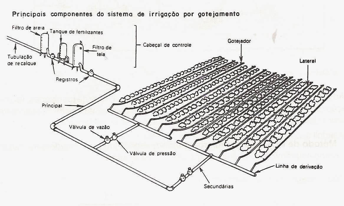 Irrigação Deve ser irrigado de forma a manter o