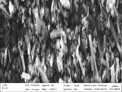 Pela microscopia eletrônica de varredura, Figura 5, foi possível observar que o composto Zn(Nal) 2.
