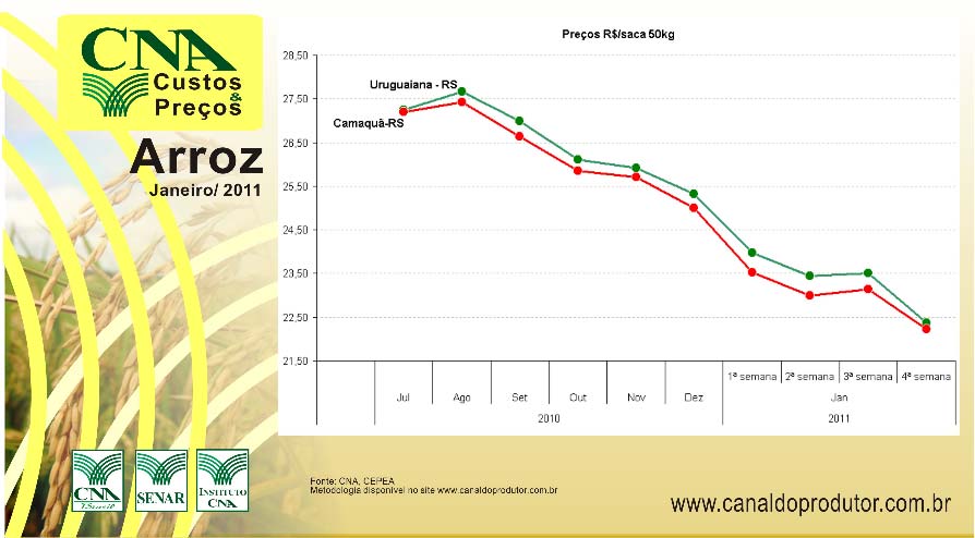 BOLETIM CUSTO E PREÇO Balanço Janeiro 2011 ARROZ: Os preços de arroz em casca, cotados na terceira semana de janeiro de 2011, vem apresentando uma notável estabilidade, variando positivamente em 0,3%