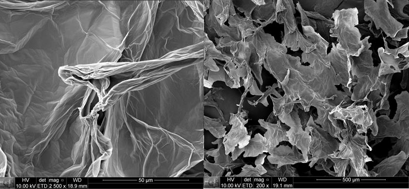 escalas uilizadas foram de 50 e 500 µm. As amostras foram recobertas com ouro utilizando-se um sputter coater da marca Balzers.