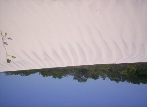 10 Figura 6 Comportamento do comprimento de onda na lateral da duna. (Micro Ondas na lateral de uma de uma onda, fotografado por Wellington, 15/10/2005).