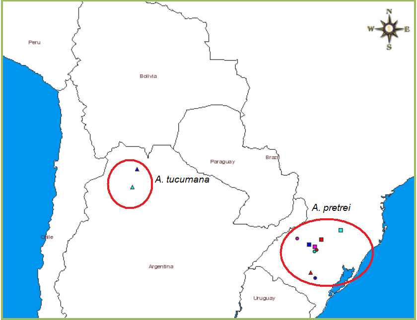 anos de 1985 a 1989 foram exportados legalmente 18.641 filhotes de Amazona tucumana (Nores & Yzurieta, 1994). No Brasil, estudo com ninhos de A.