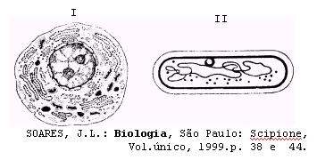 . Seleccione a alternativa que completa correctamente a afirmação seguinte. Os esquemas I e II da figura 1 representam, respectivamente Figura 1 (A) uma célula animal e uma célula eucarótica.