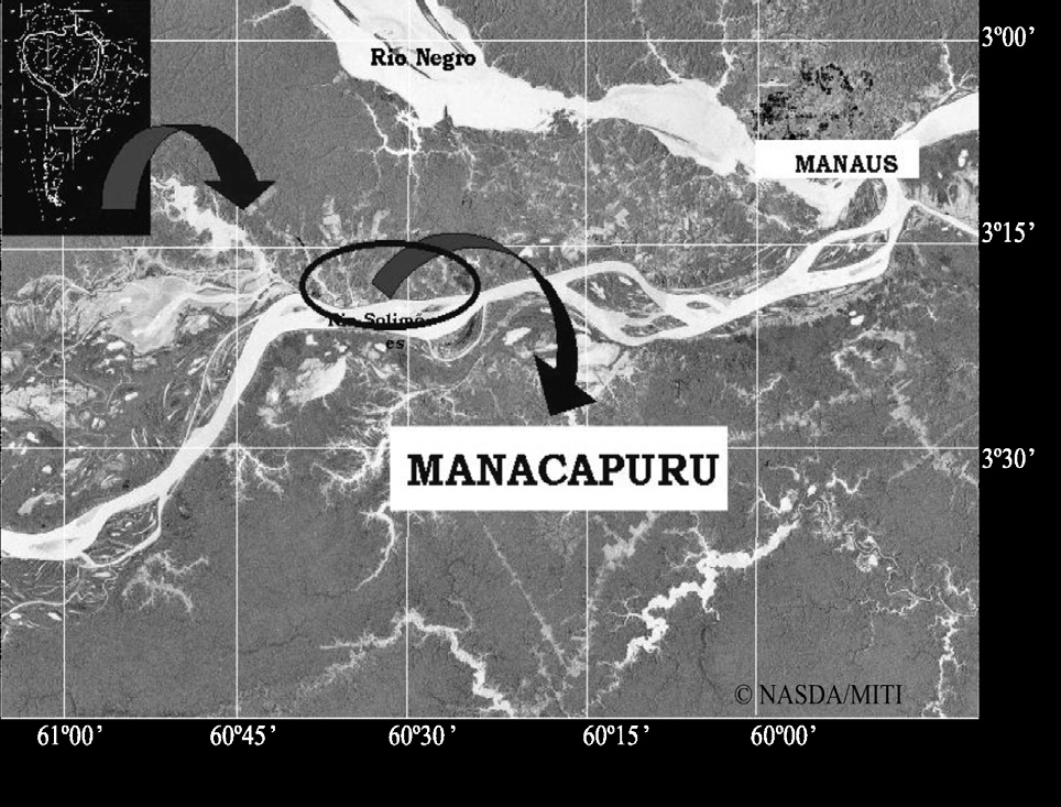 Avaliação do desembarque pesqueiro efetuado em Manacapuru, Amazonas, Brasil.