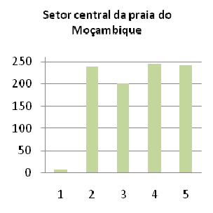 140 Pode-se verificar na zonação da vegetação, que em todas as praias estudadas a linha 1, apresentou um comportamento praticamente igual em todas as praias, apresentando um número baixa de cobertura