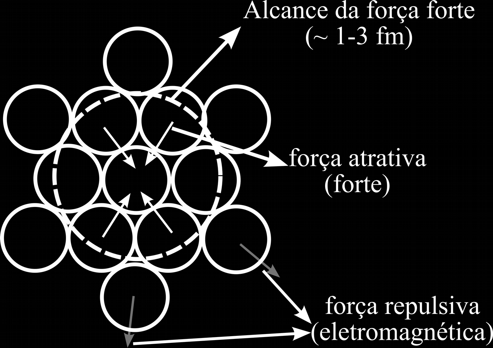 A atuação da força forte justifica a formação dos núcleos atômicos e também auxilia a entender sua fissão (quando o núcleo se parte em dois