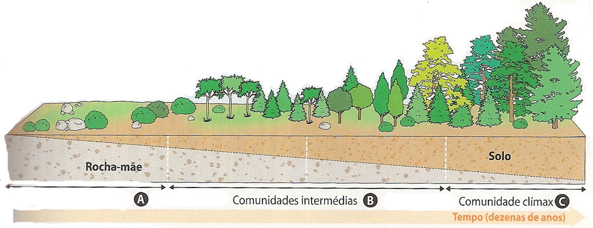 Ocorre quando o local colonizado estava anteriormente