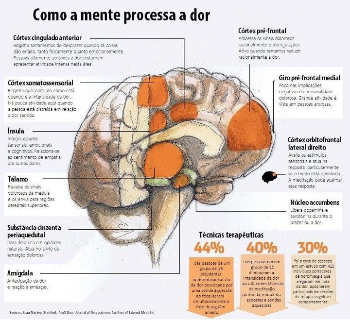 CÓRTEX PRÉ-FRONTAL Processa os sinais dolorosos racionalmente e planeja ações. Ativo quando tentamos reduzir racionalmente a dor.