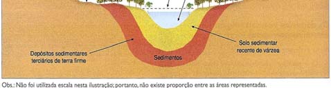 AULÃO ALEGRETE DOMÍNIOS MORFOCLIMÁTICOS Divisão: Aziz Ab Saber = biomas DEPENDEM: Tipo de clima Tipo de solo Tipo de relevo 6F Formações 3 Transição (ecótonos) agreste, meio norte e pantanal BIOMAS