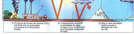 global deste gás. É um grupo de componentes produzidos pelo Homem, constituídos por Cloro, Flúor e Carbono.