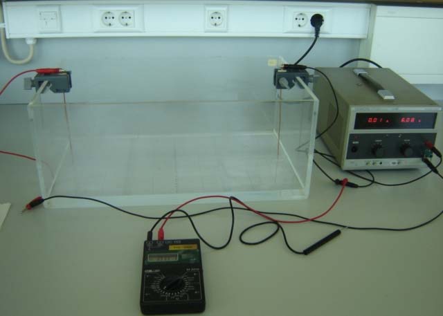Procedimento 1 - Vamos mapear superfícies equipotenciais numa tina de água, onde são colocados dois eléctrodos, ligados a uma fonte.